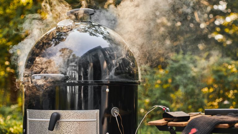 The Science of Smoke